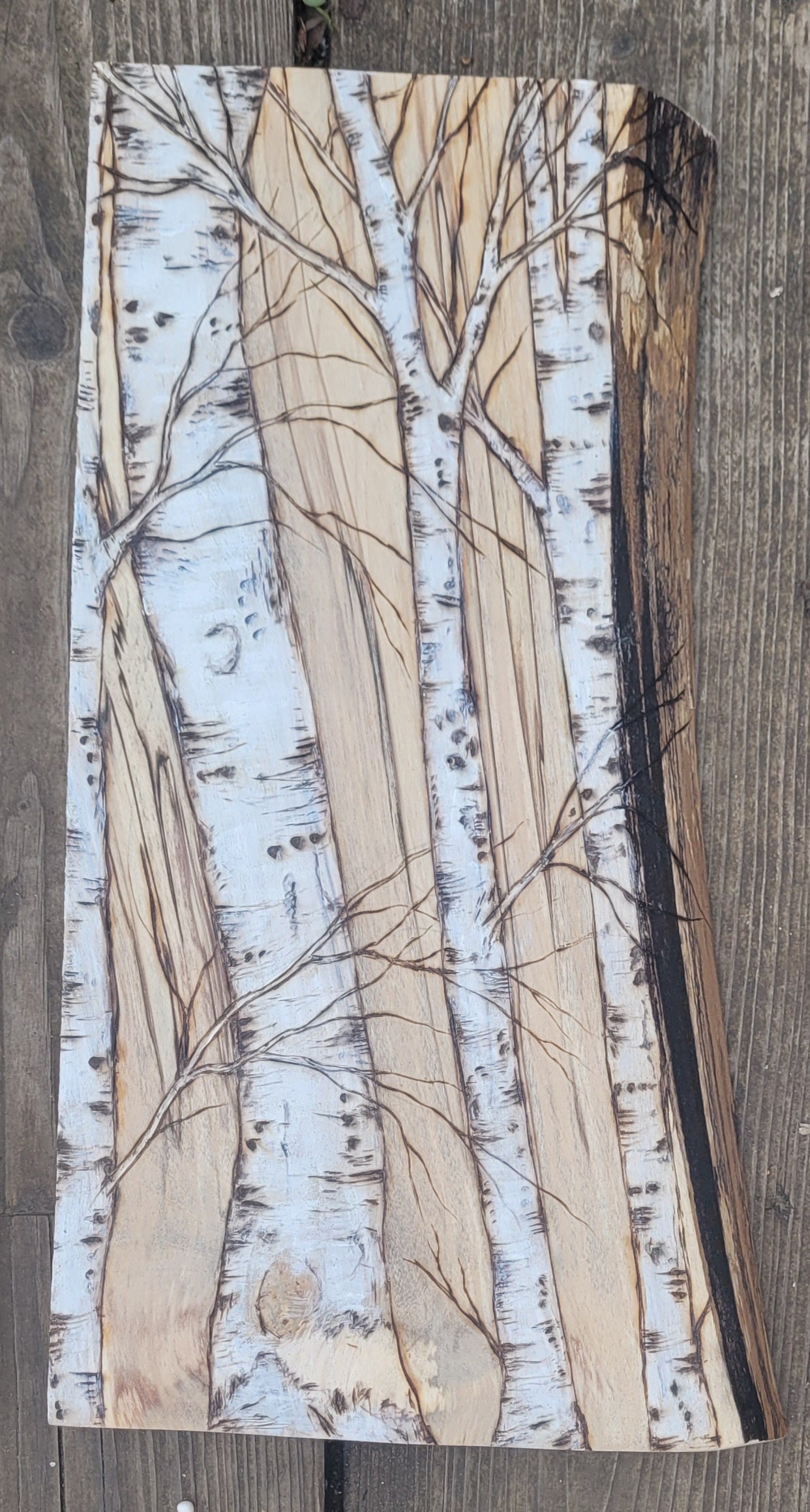Birch Tree (medium)