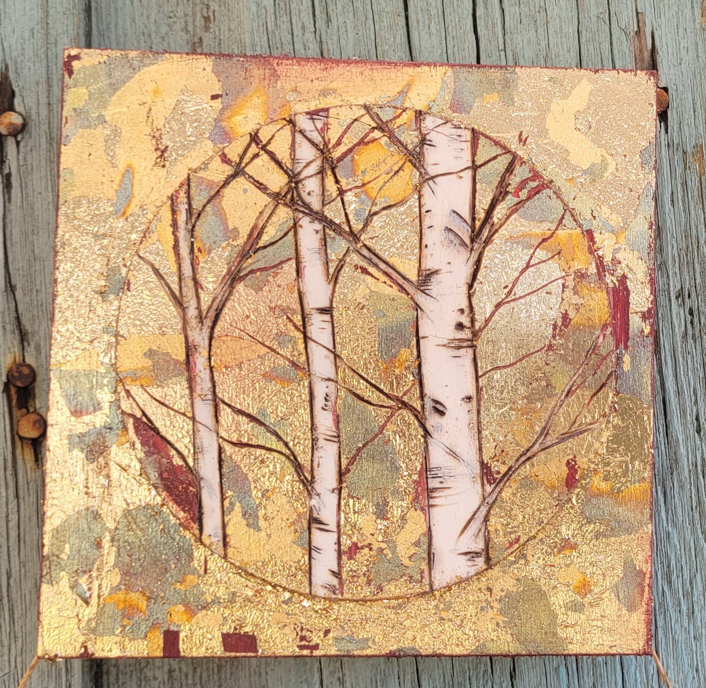 Mini Birch Trees forest round on a square.