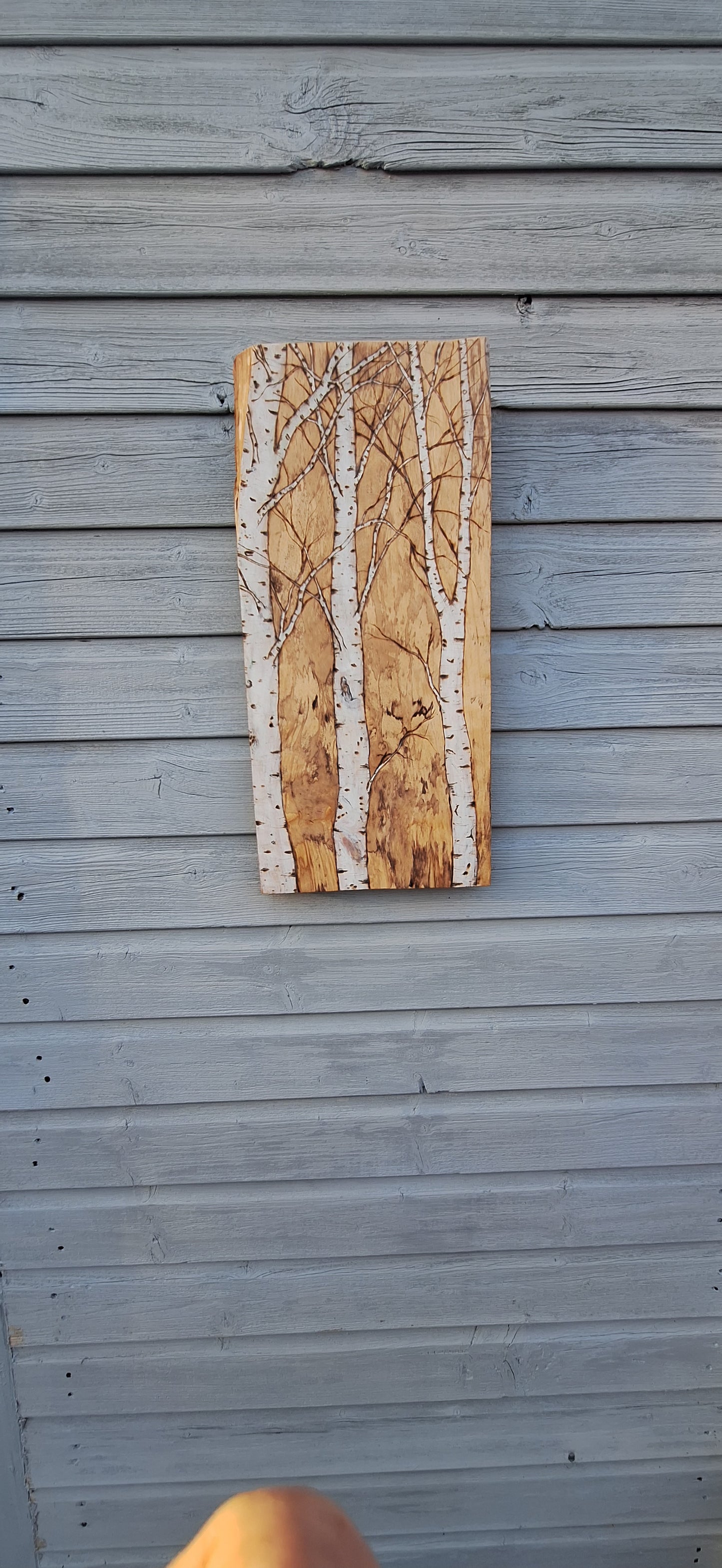Rustic Birch