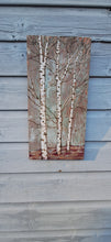 Load image into Gallery viewer, Copper birch trees with a touch of red and gold