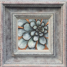 Load image into Gallery viewer, Framed Blue grey Sempervium