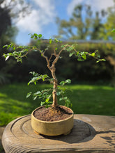 Load image into Gallery viewer, The Creative Club Sculpt, Burn and Carve Workshops at the earth studios.