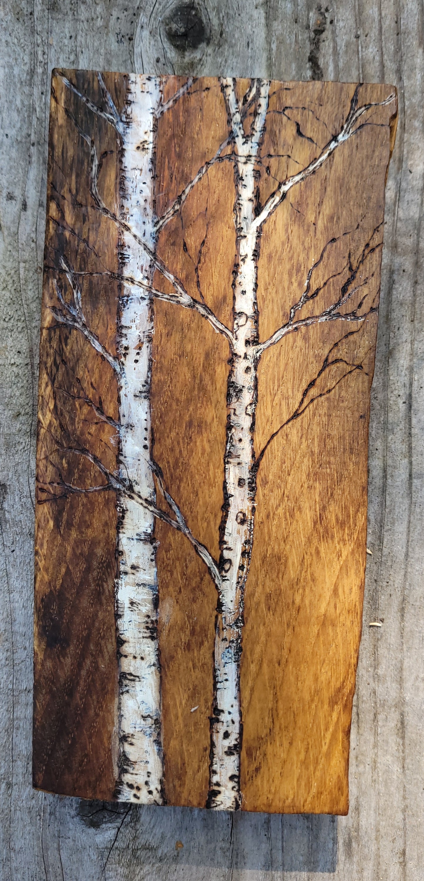 Small Birch Trees 2