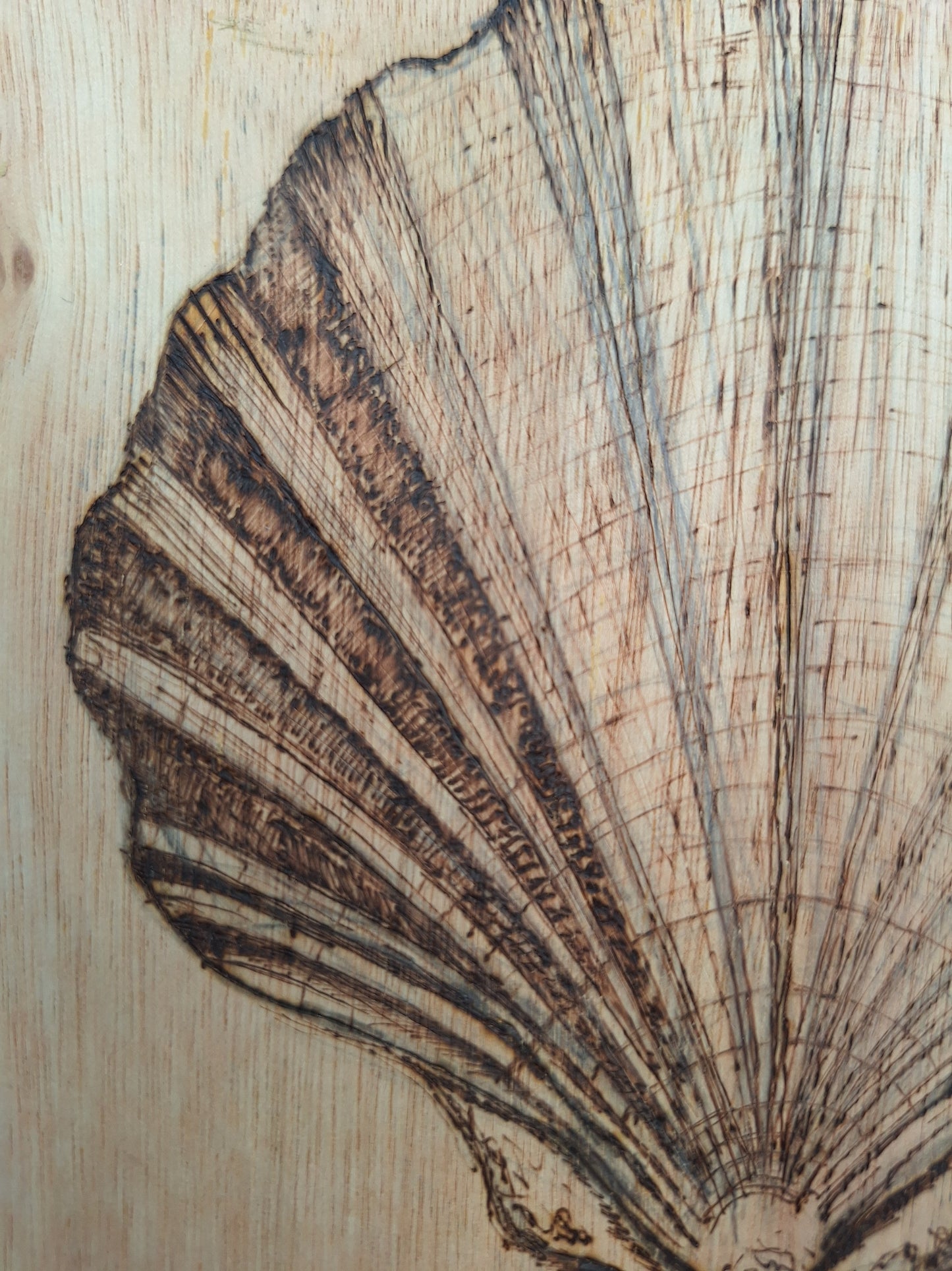 Coastal Valley          May 2026 Art Workshops