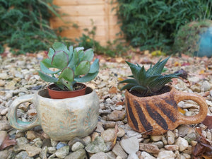 The Creative Club Sculpt, Burn and Carve Workshops at the earth studios.