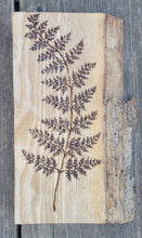 Load image into Gallery viewer, Fern on Oak
