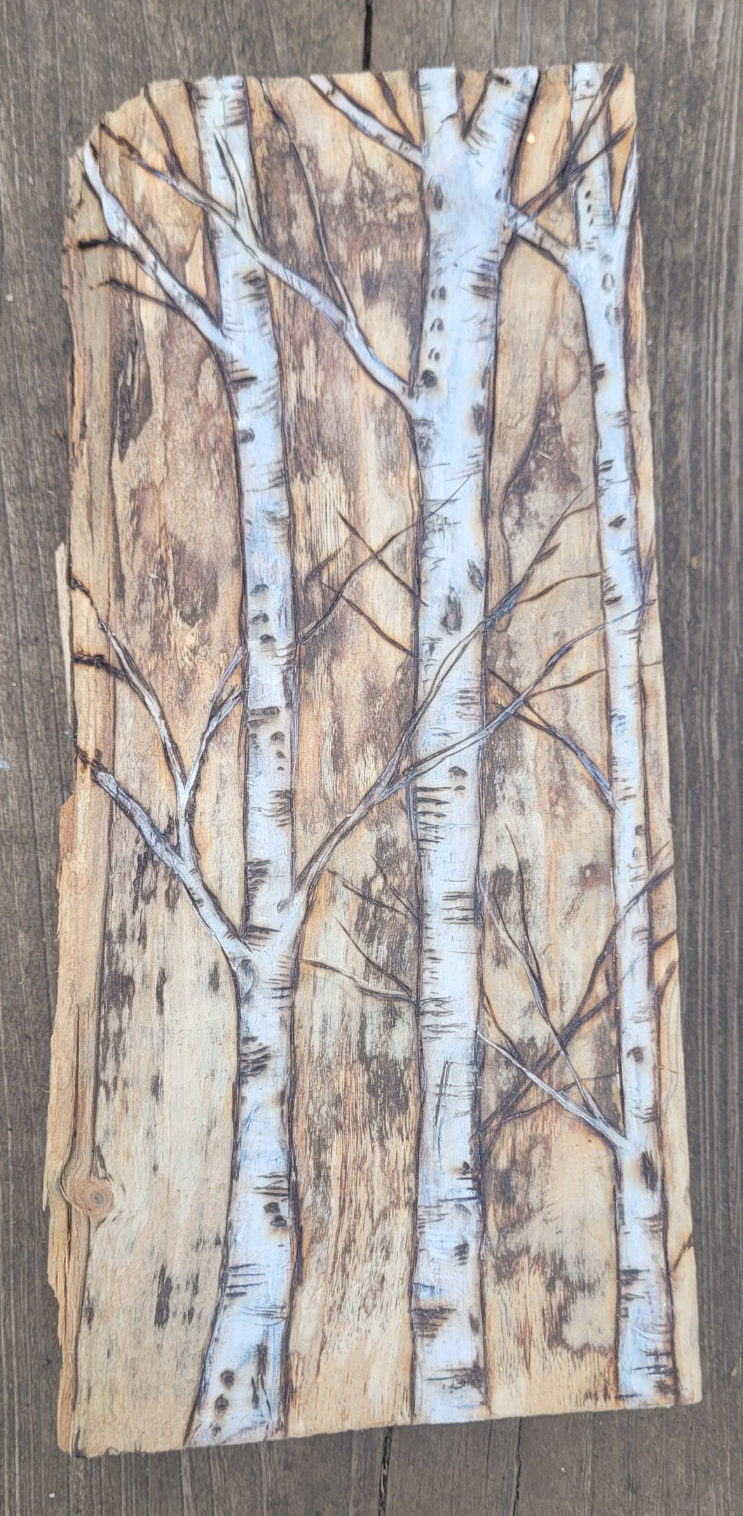 Birch on Rustic Wood