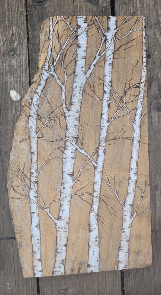 Birch on London Plane