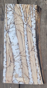 Birch Tree (medium)