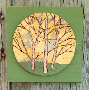 Mini  Birch Trees forest round on a square