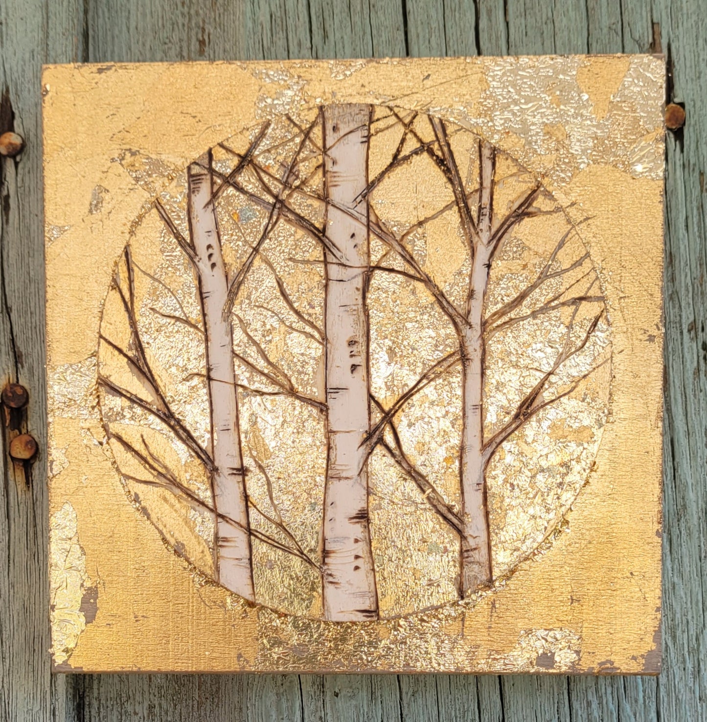 Mini  Birch Trees forest round on a square.