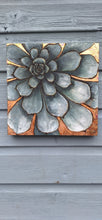 Load image into Gallery viewer, Alpine Collection
