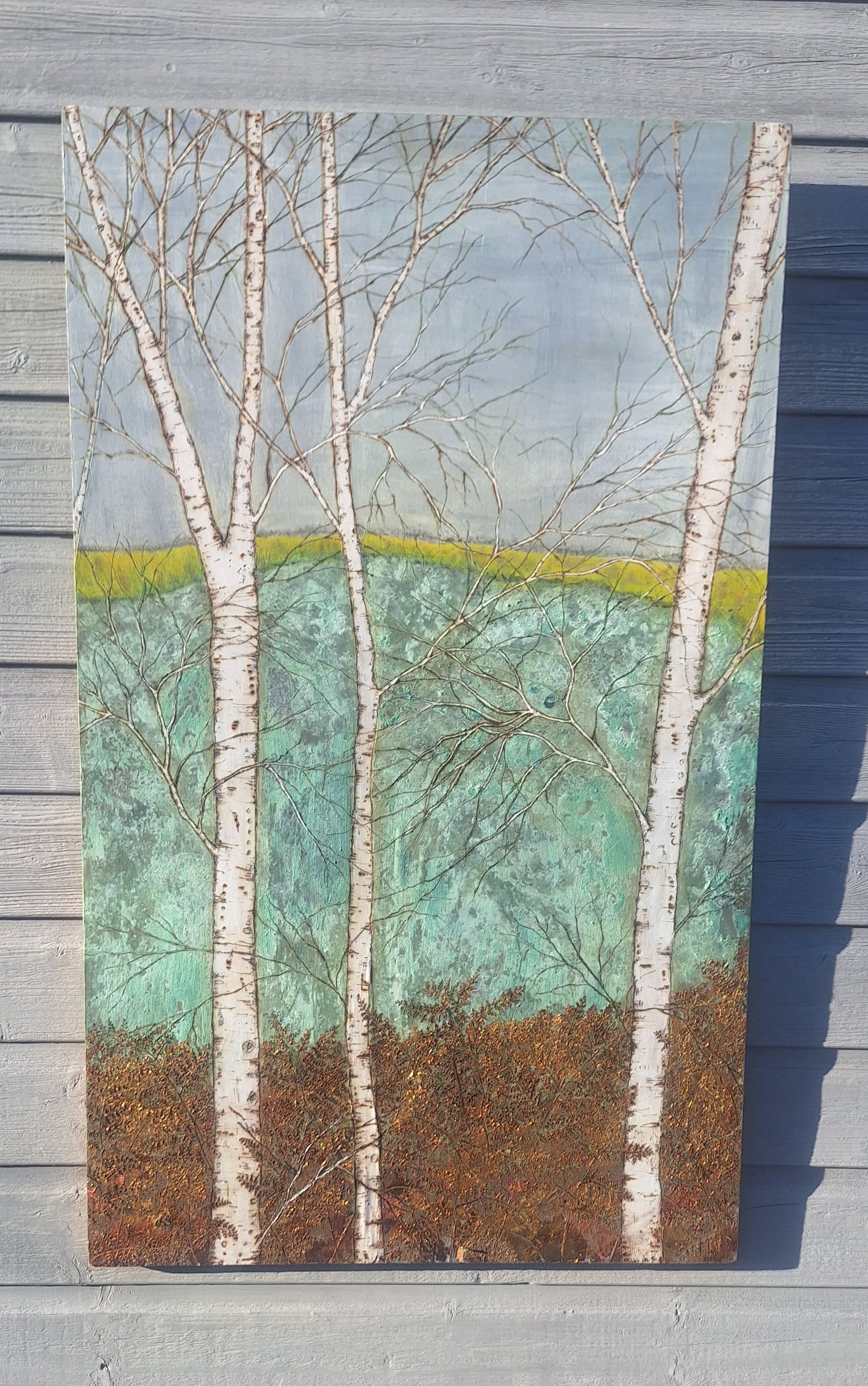 Birch forest and fields