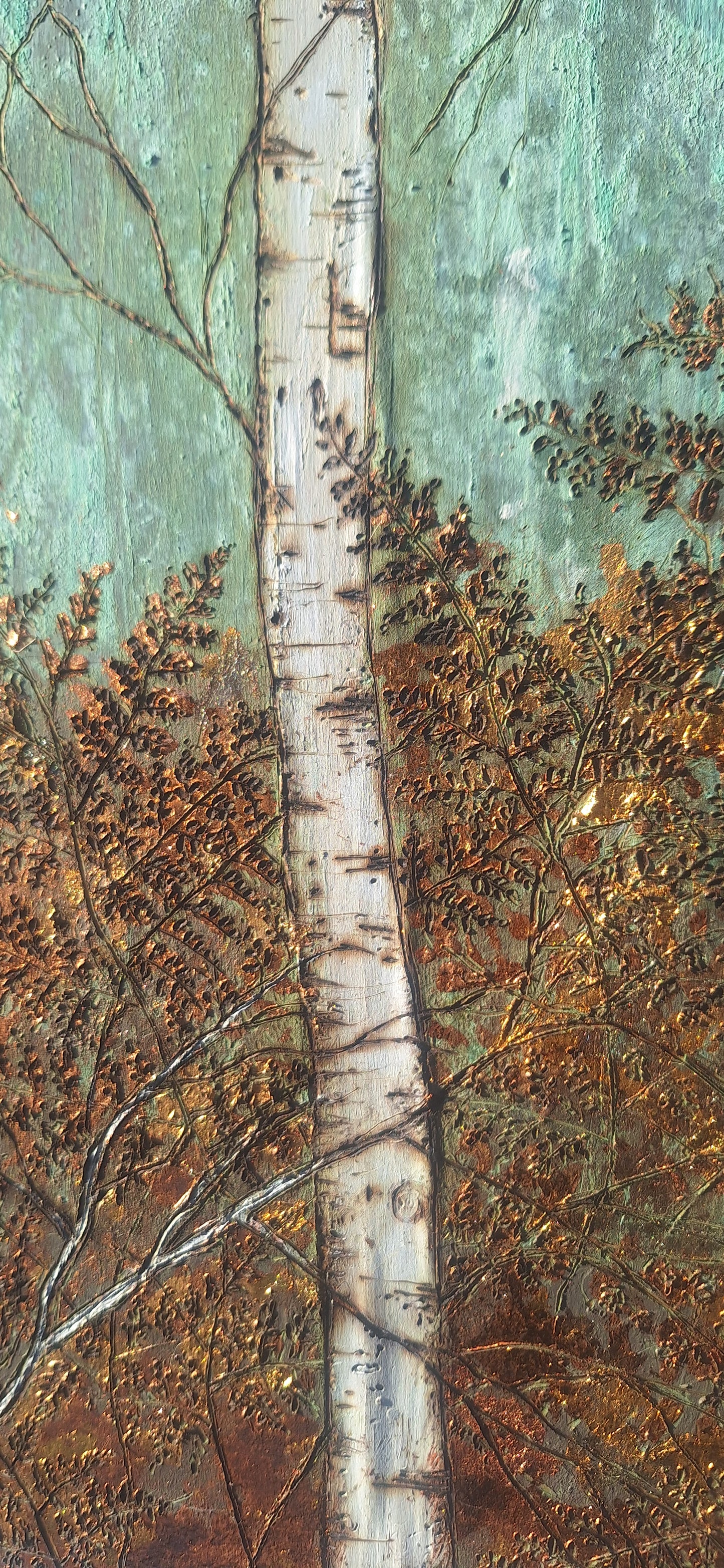 Birch forest and fields
