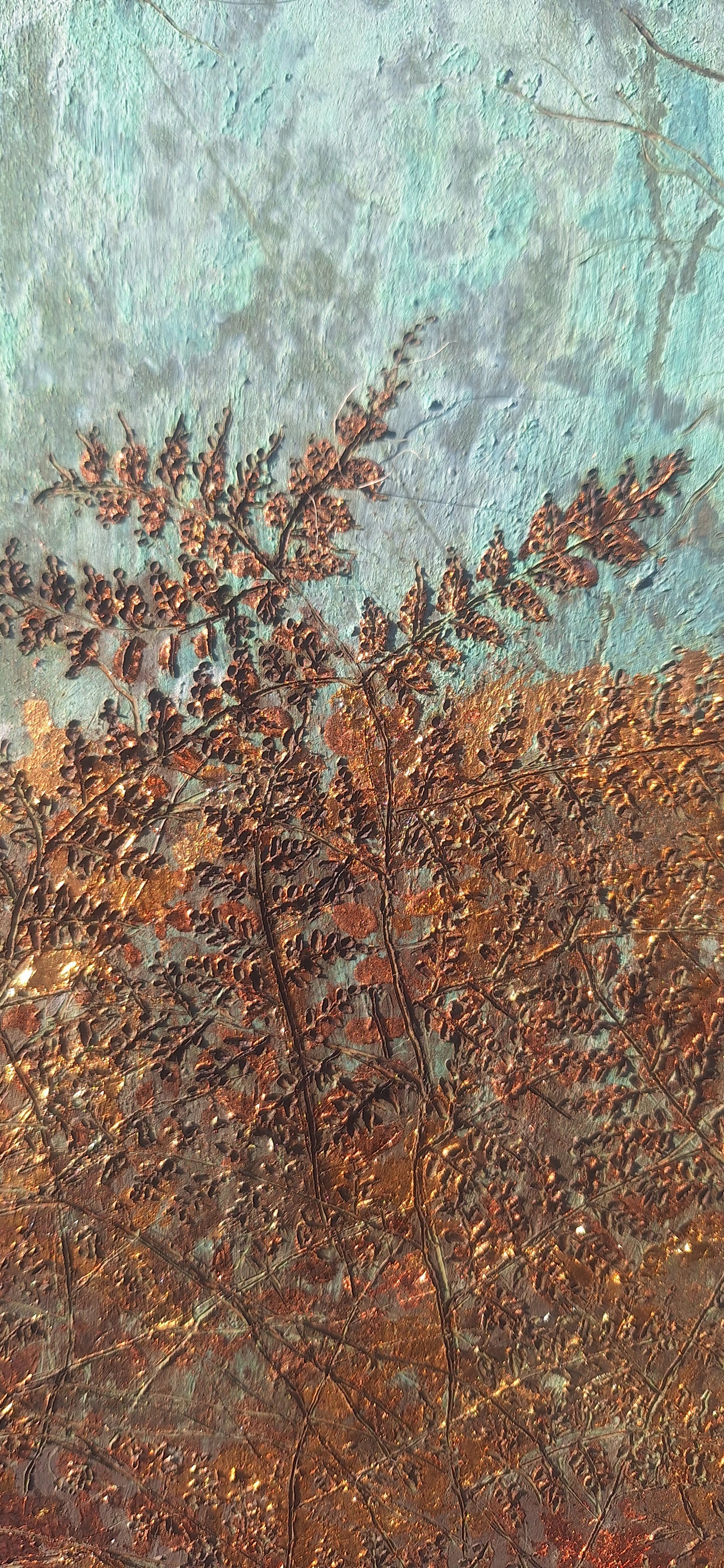 Birch forest and fields