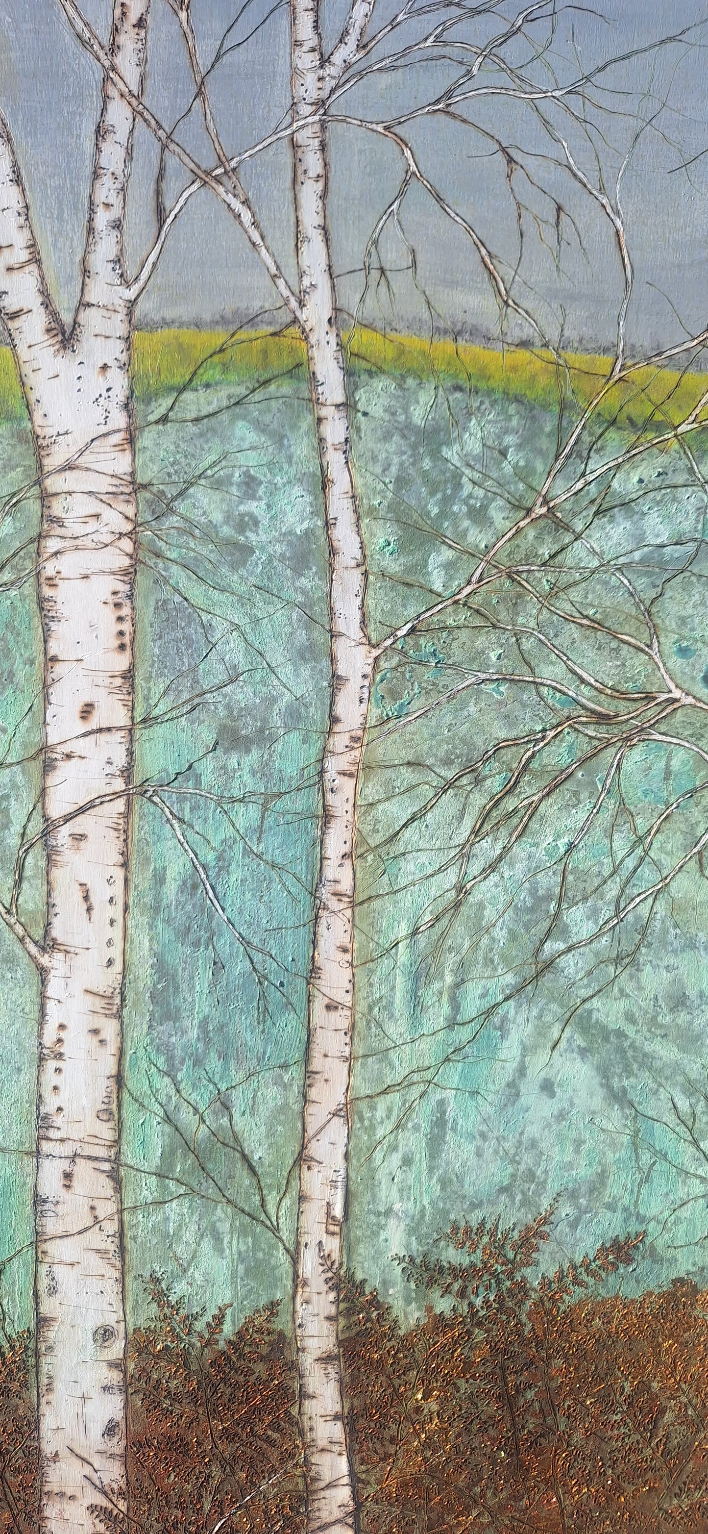Birch forest and fields