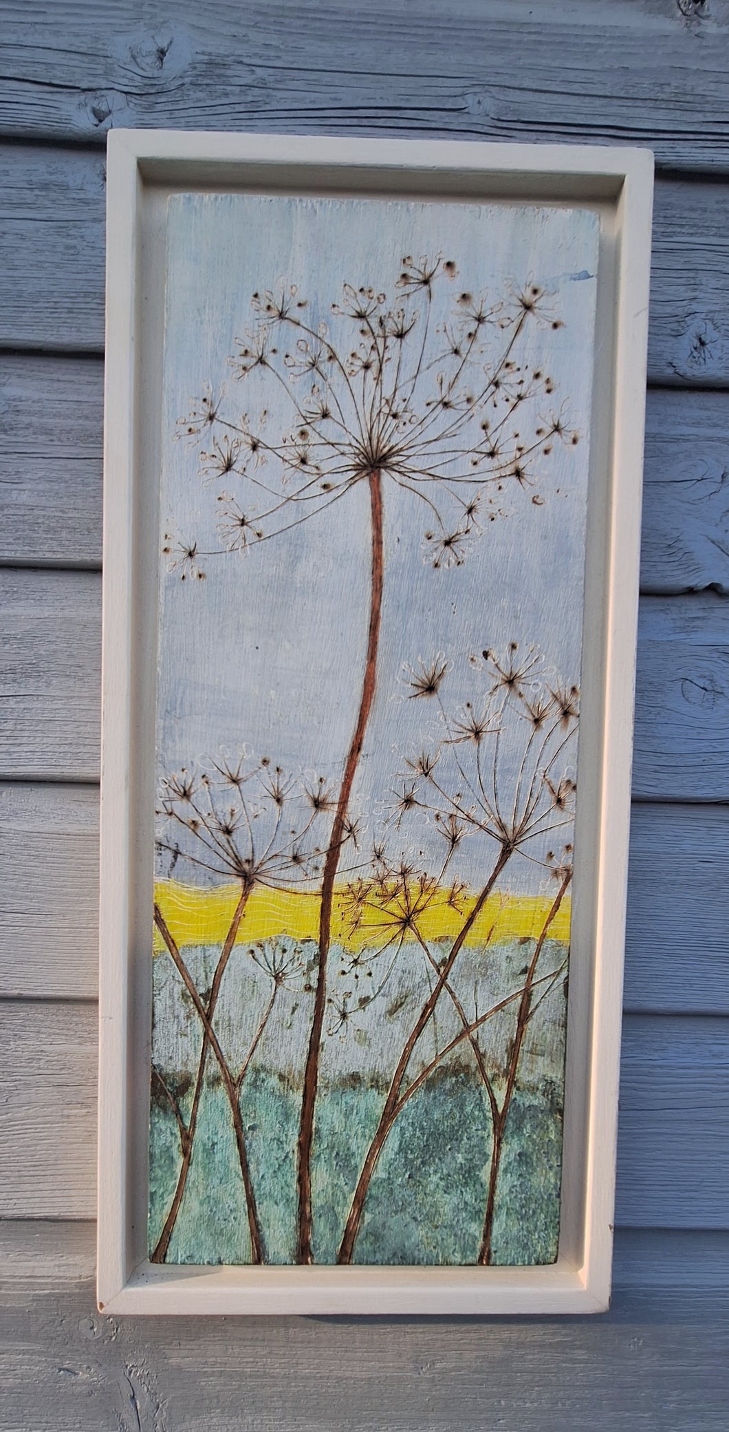 Cow parsley and fields