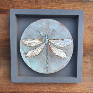 Dragonflies Collection