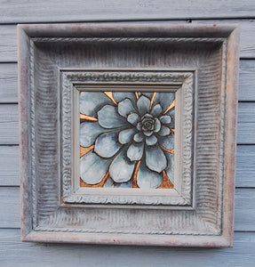 Framed Blue grey Sempervium