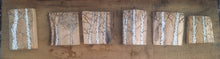 Load image into Gallery viewer, Birch on Rustic Wood
