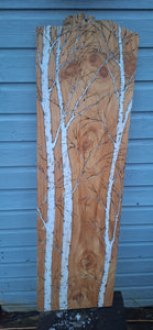 Three Silver Birch’s on cedar wood