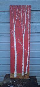 Red Birch Trees