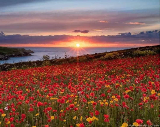 Art and Wellness Retreat Cornwall      Ruth Wheeler         22nd- 29th May 2026
