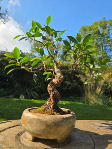 The Creative Club Sculpt, Burn and Carve Workshops at the earth studios.