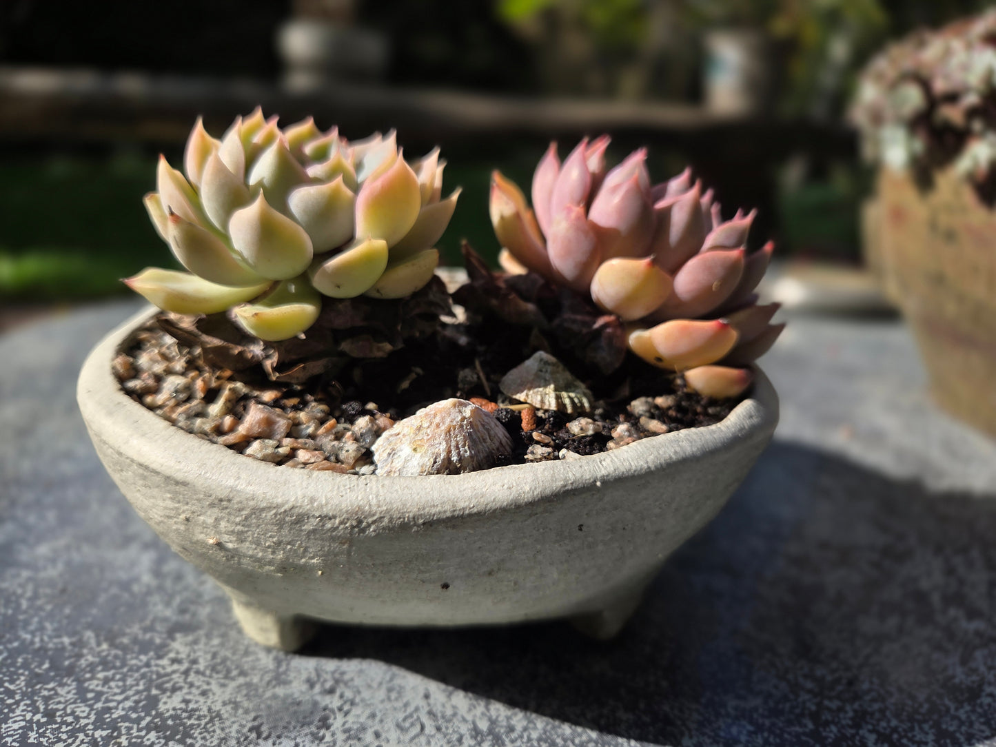 The Creative Clay Club