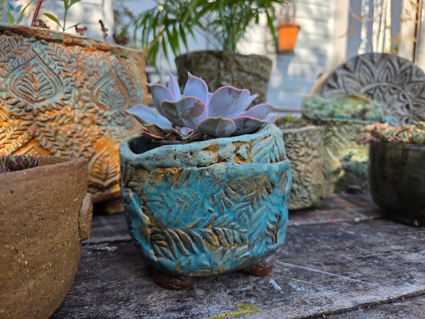 The Creative Clay Club