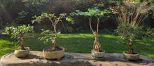 Load image into Gallery viewer, The Creative Club Sculpt, Burn and Carve Workshops at the earth studios.
