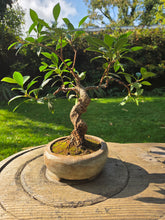 Load image into Gallery viewer, The Creative Club Sculpt, Burn and Carve Workshops at the earth studios.
