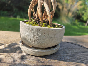 The Creative Club Sculpt, Burn and Carve Workshops at the earth studios.