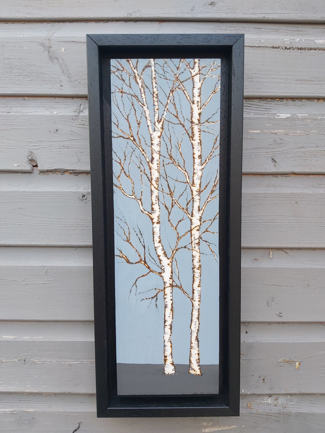 Baby Blue  Birch Art