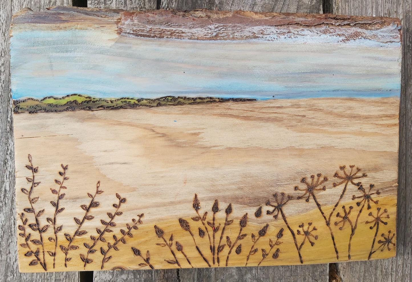 Half day Pyrography Taster Workshop at Earth Studios