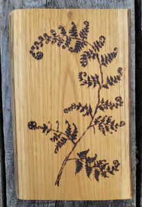 Delicate Fern Frond on Chestnut Wood