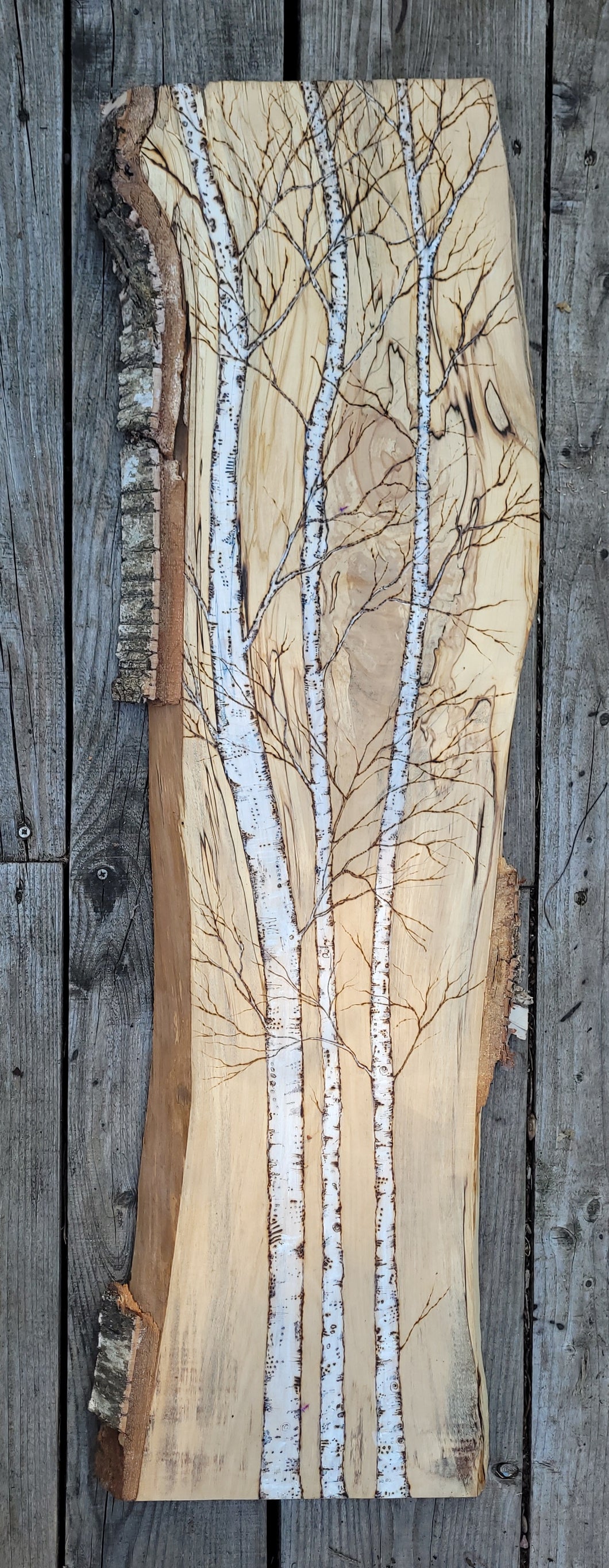 Tall 3 birches on a Birch Plank