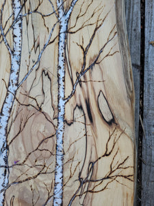 Tall 3 birches on a Birch Plank