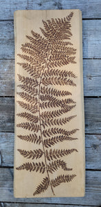 XL Fern on Beech Wood