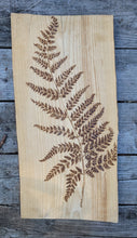 Load image into Gallery viewer, Large Fern on Beech
