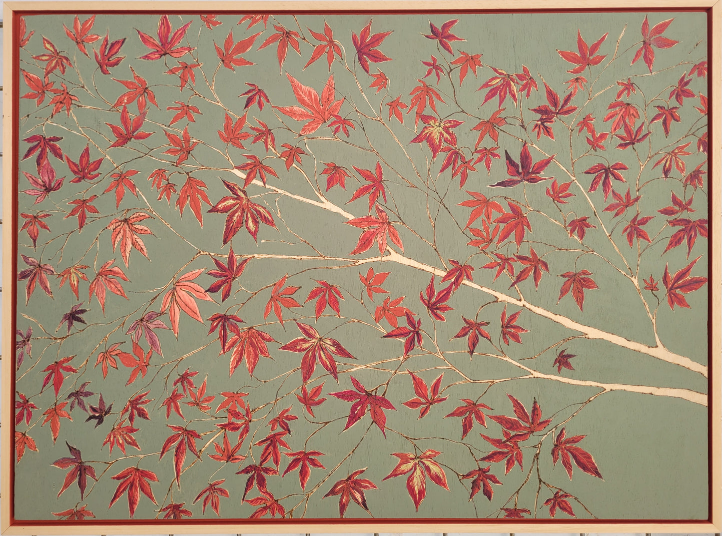 Acer Tree
