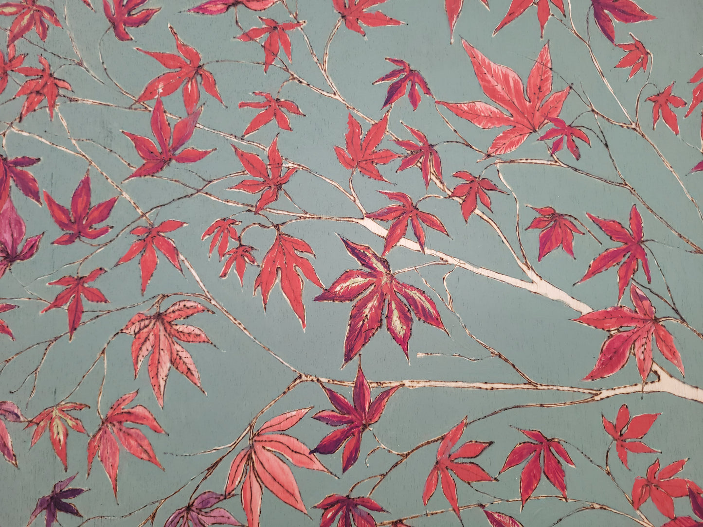 Acer Tree
