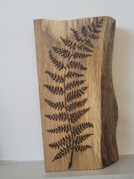 Little Fern on Oak
