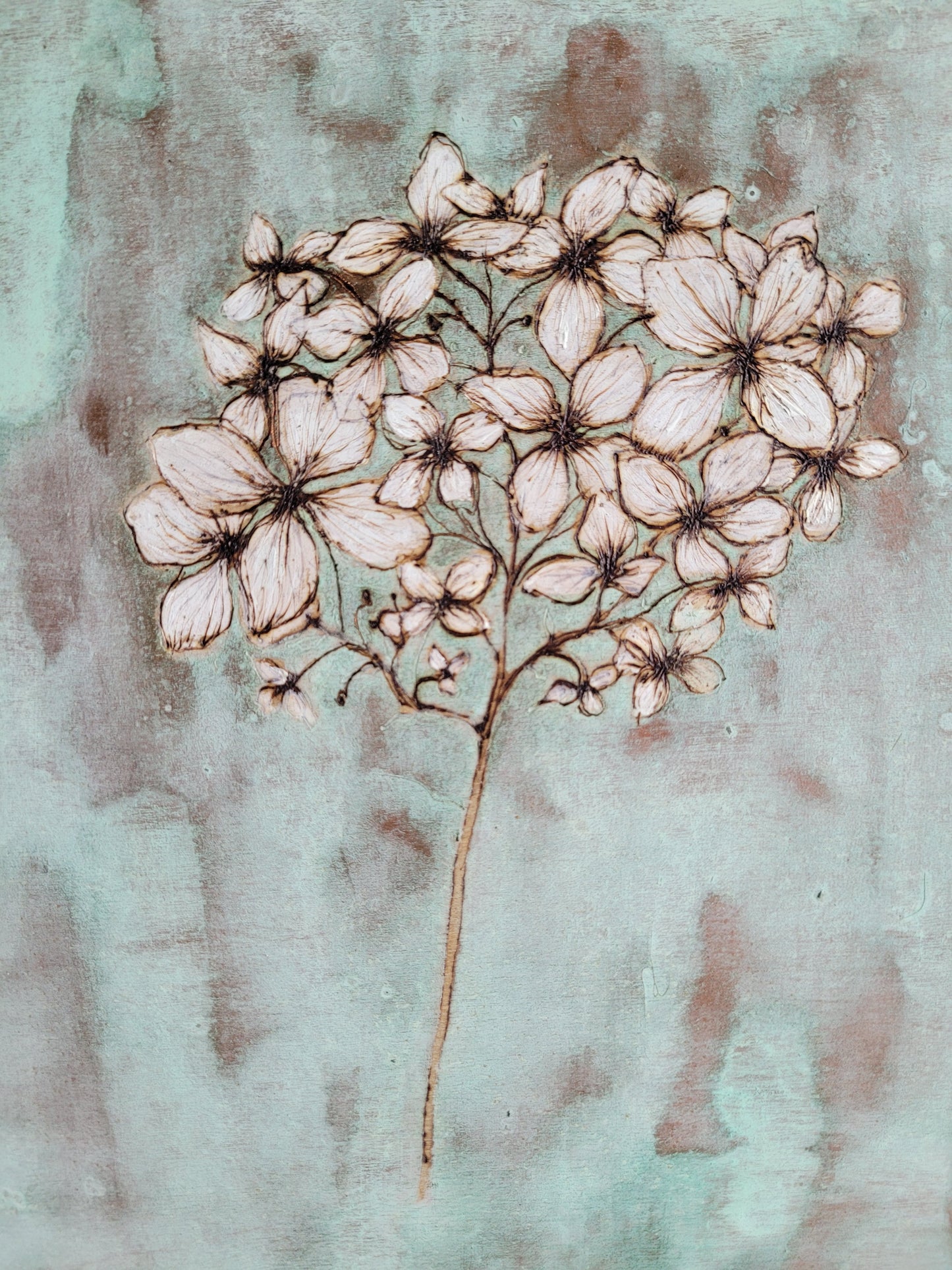 White Hydrangea