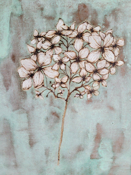 White Hydrangea