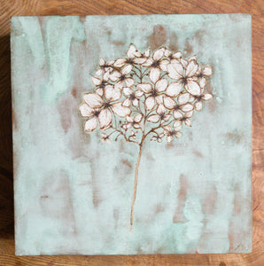 White Hydrangea