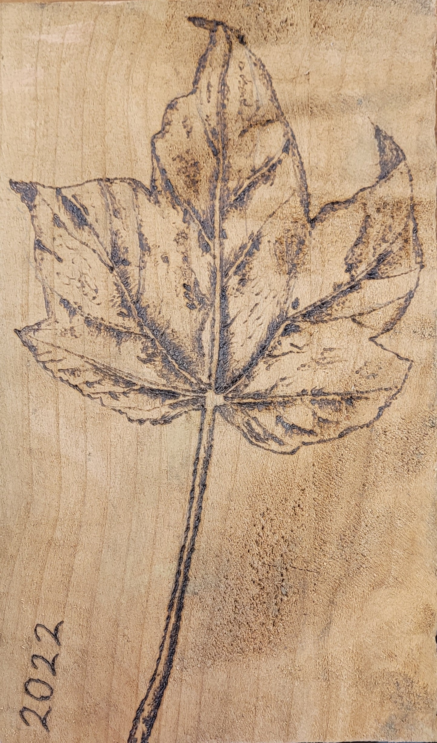 Half day Pyrography Taster Workshop at Earth Studios